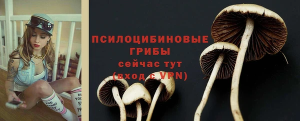 шишки Заволжск