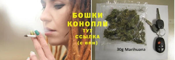прущий лед Весьегонск
