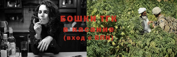 шишки Заволжск