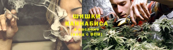 шишки Заволжск